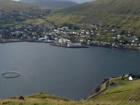 The new pelagic season in Faroe Islands has started. The new pelagic season in Faroe Islands has started.