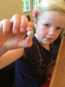 Customer Satisfaction Survey Customer Satisfaction Survey